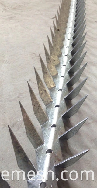 Security And Beautity Wall Spike2